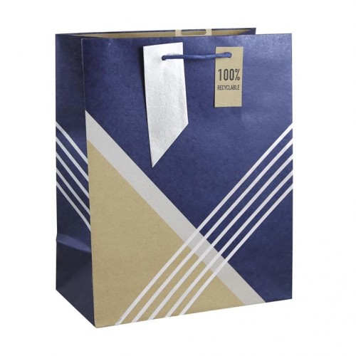 Modern Male Kraft Large Gift Bags 6ct